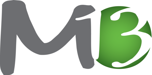Massothérapie 13